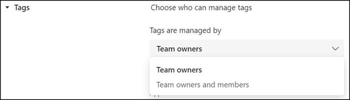 Management of Tags per team