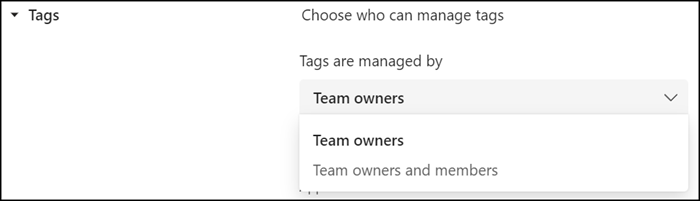 Verwaltung von Tags pro Team