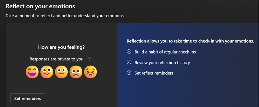 Reflection Feature in Viva Insights